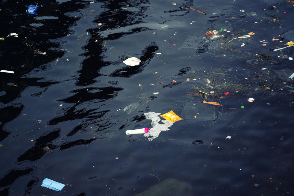 Fish and plastic pollution in sea. Microplastics contaminate seafood. Animals in the sea cannot live, San Diego Bay, California, USA.