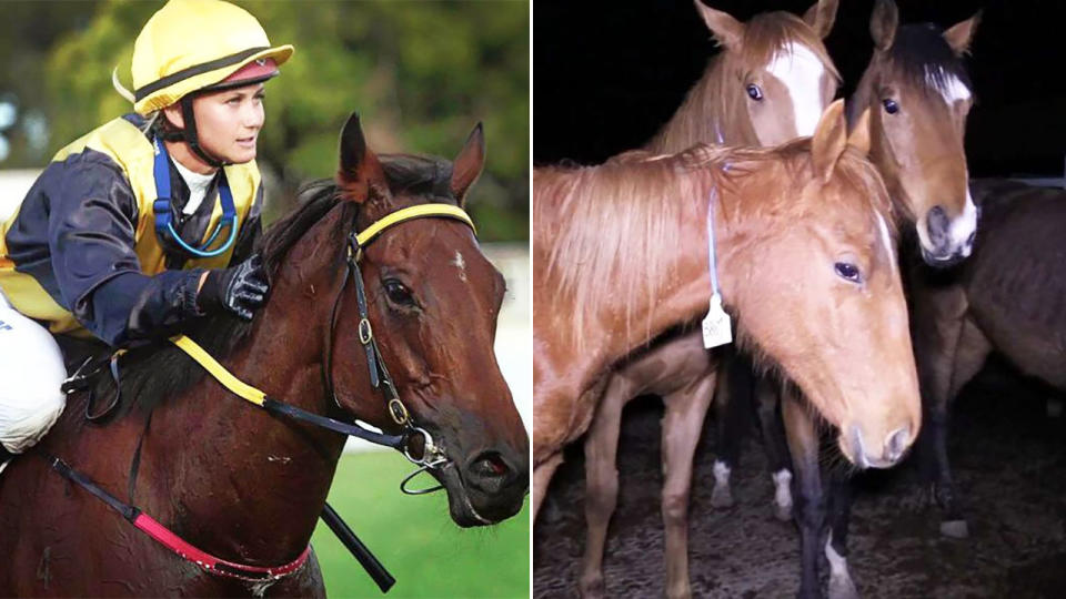 Laura Cheshire, pictured here in action as a jockey.