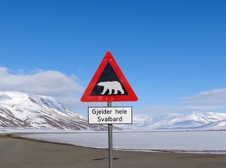 A sign warns residents of the arctic Svalbard islands in Norway of the danger from roaming polar bears, May 26, 2013. REUTERS/Balazs Koranyi