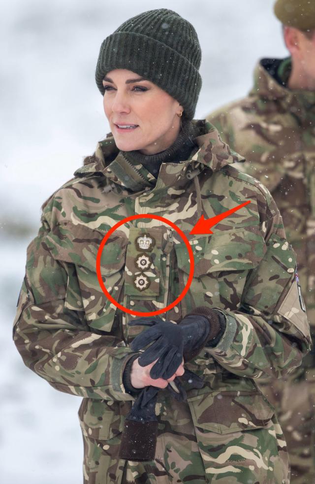 Kate Middleton wore camo military gear complete with badges that signify a  new title she inherited from Prince William