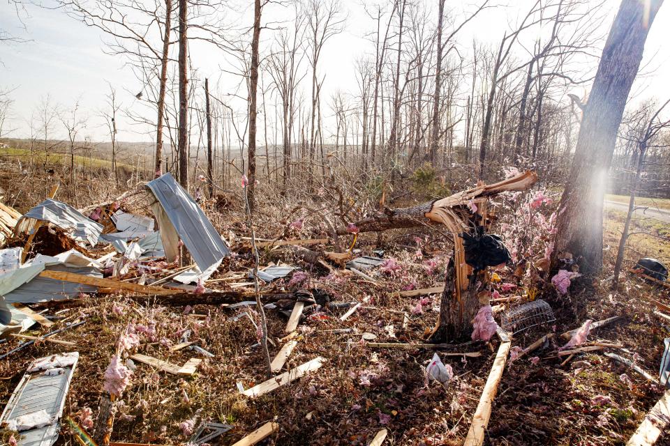 Insulation and siding sit in the path of where the tornado passed through Grinders Creek, Tenn. on Mar. 31, 2023. 