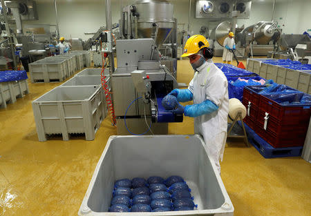 Dumidru Voicu nets meat at Cranswick Convenience Foods in Milton Keynes, Britain November 20, 2017. Picture taken November 20, 2017. REUTERS/Darren Staples