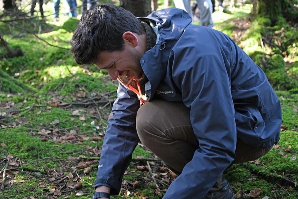 James Wood of Totally Wild foraging (Totally Wild)