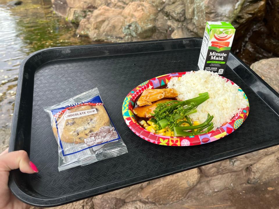 hand holding tray of kids' chicken teriyaki meal from Katsura Grill at disney world