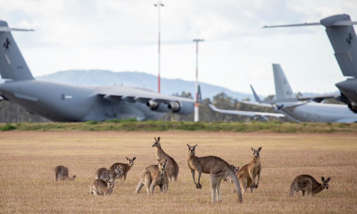 <span>RAAF base Amberley in Queensland. A 2021 review found that ‘Amberley airbase provides ideal fire ant habitat’.</span><span>Photograph: Sgt Andrew Eddie/Department of Defence</span>