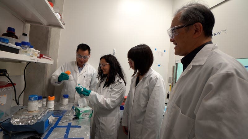 Ruan, Felicelli, Katsamba and Chiu look at paint samples in the lab. 
