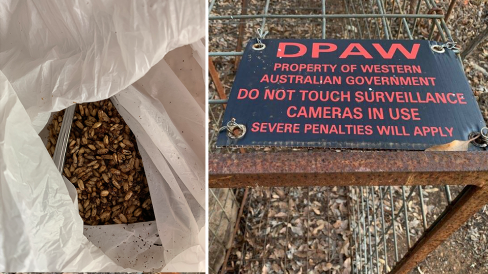 Photo shared by the woman, from Western Australia, showing pellets she found with the cage in a plastic bag and the sign on the cage, which said it was the property of the state government.