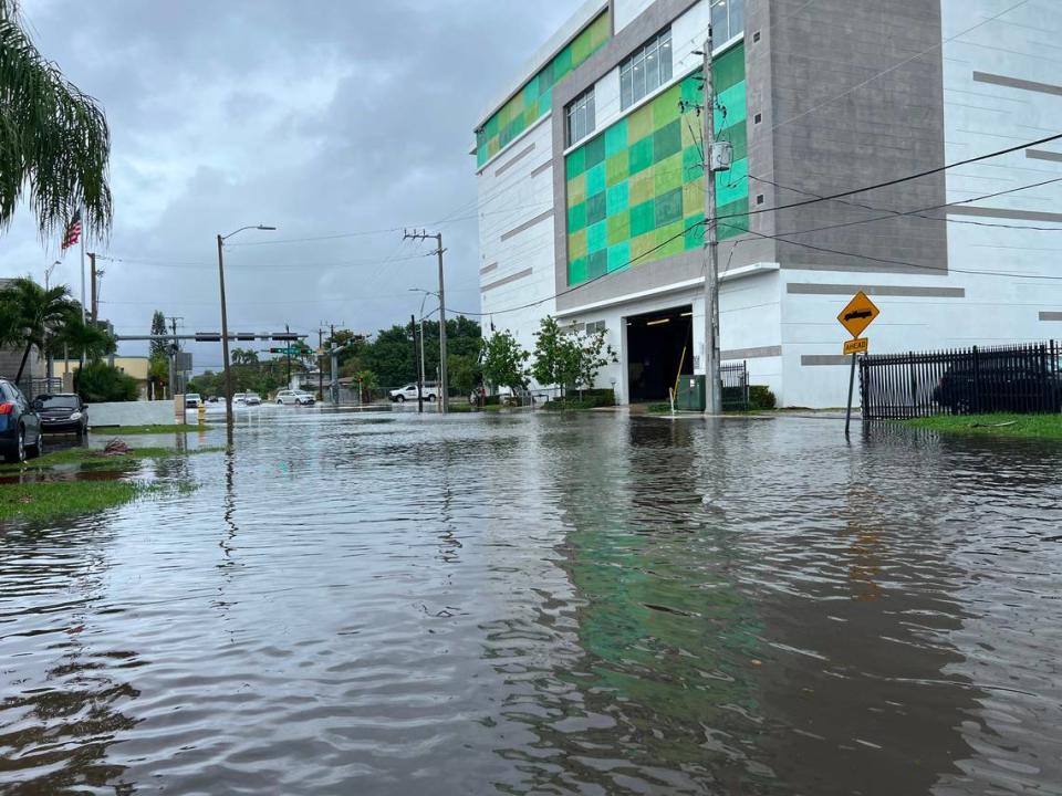 Murky knee-deep water in flood-prone Shorecrest.