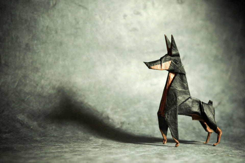 A black and tan doberman is one of Gonzalo’s favourite creations