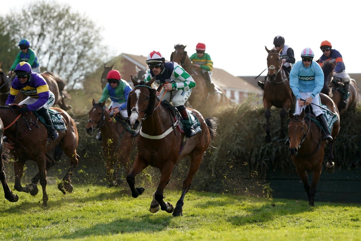 The Randox Grand National Handicap Chase (Tim Goode/PA) (PA Wire)