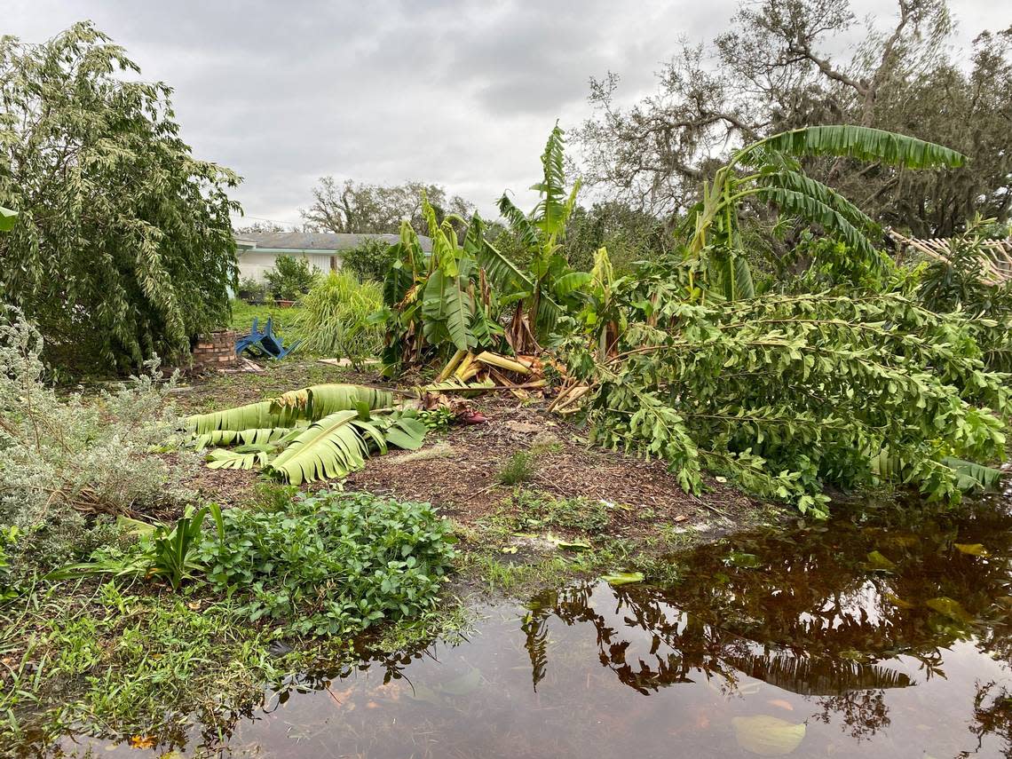 The damage days after after Hurricane Ian hit Sulcata Grove, a family farm near Sarasota, Florida, on Sept. 28, 2022. The owner, Celeste Welch, said she and other farmers are waiting to assess their losses. Sulcata Grove