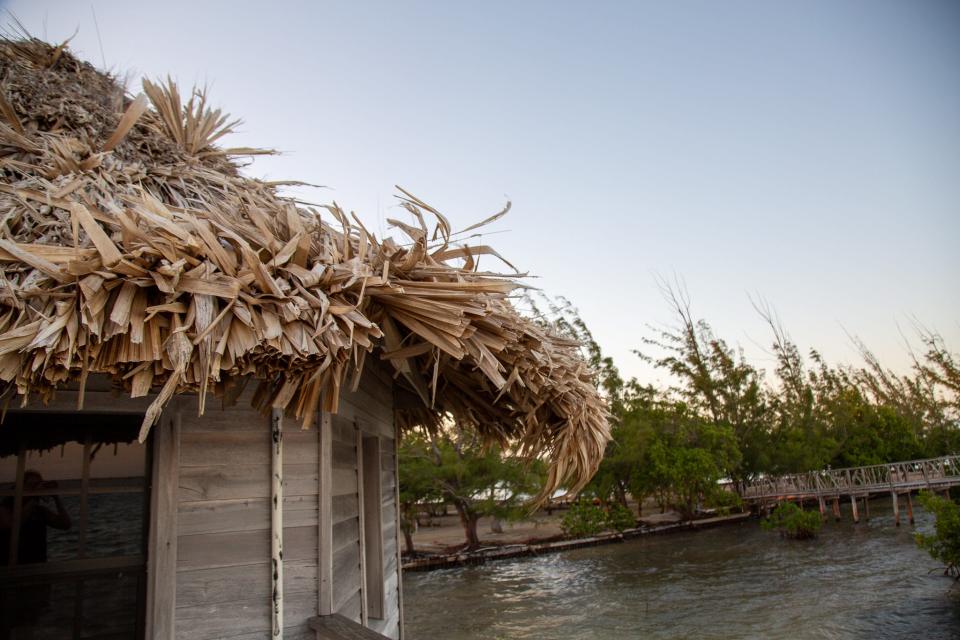 A view of the bungalow's thatch roof.