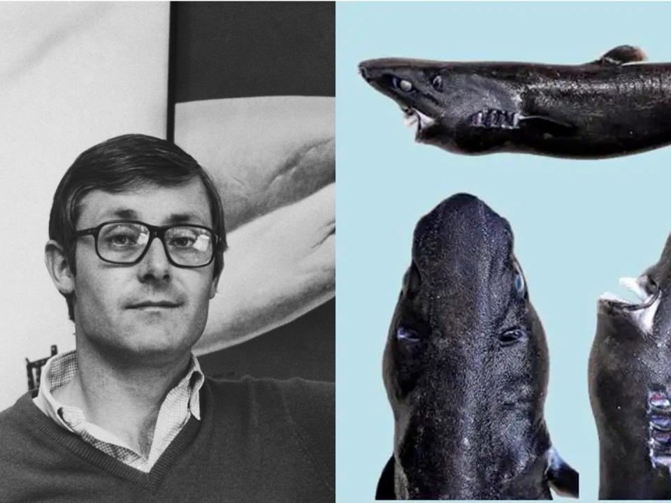A side-by-side image of Peter Benchley and the Etmopterus benchleyi shark from several angles against a blue background