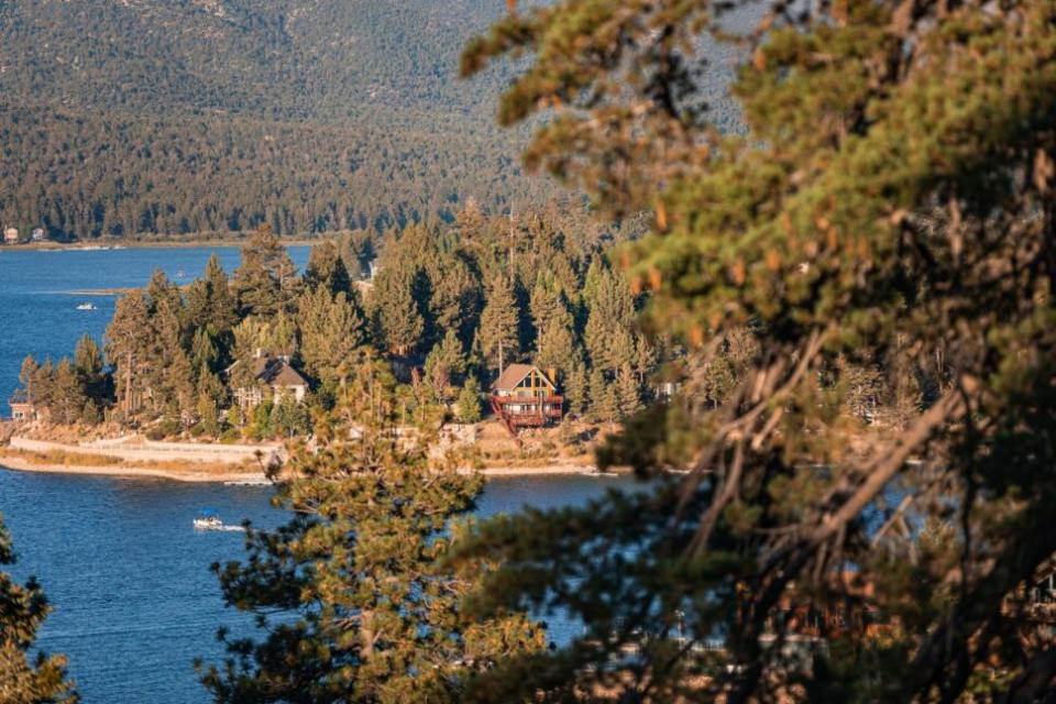 green trees near body of water during daytime at Big Bear Lake in California