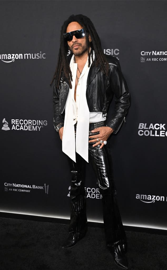 <p>Lenny Kravitz</p>