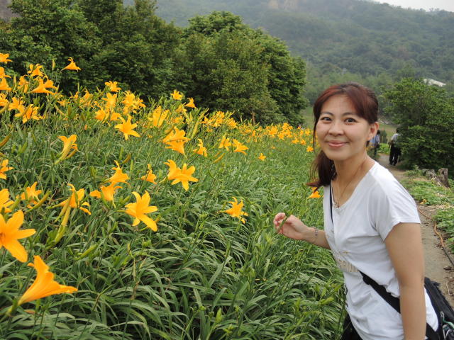 影 花壇鄉虎山岩旁金針花海爆紅志工遭控告竊盜