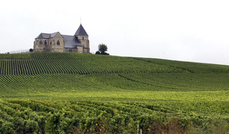 The rolling hills of the northern French Champagne region, where the grapes for the sought-after wine are grown, already contain some of the most expensive agricultural land in Europe