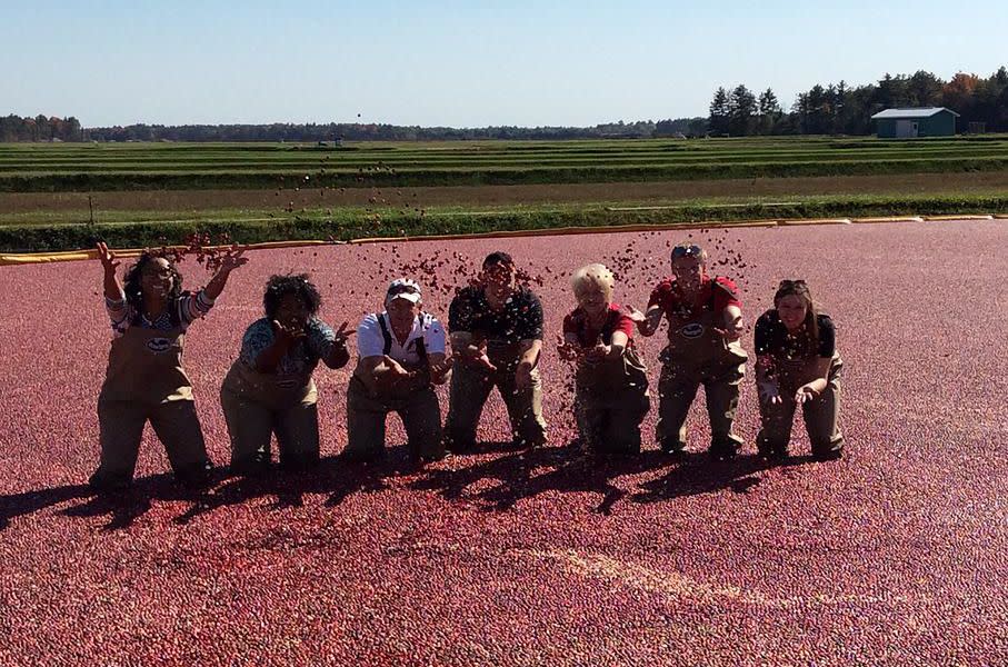 25) Warrens Cranberry Festival