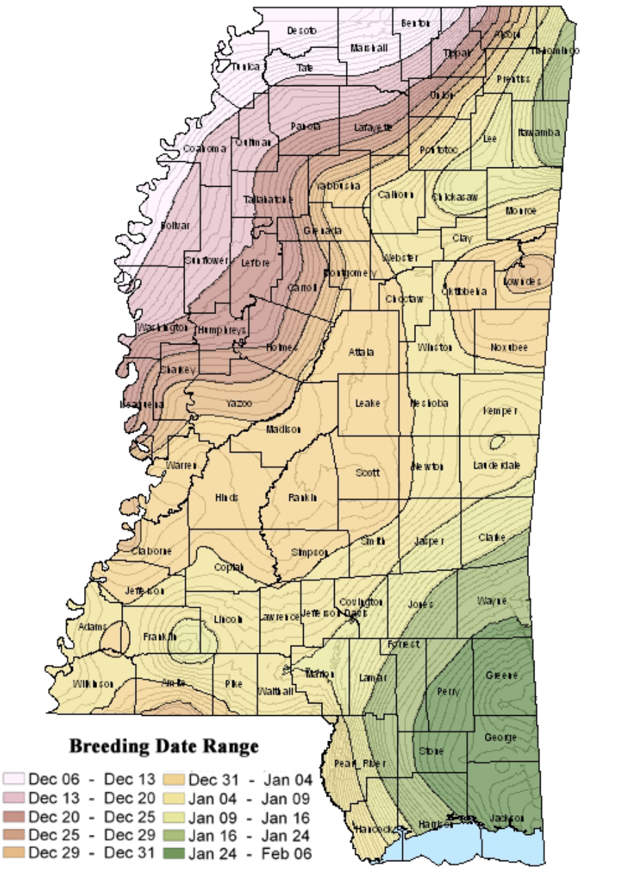 The Mississippi Department of Wildlife, Fisheries and Parks breeding date map shows the average peak breeding periods for deer across the state.