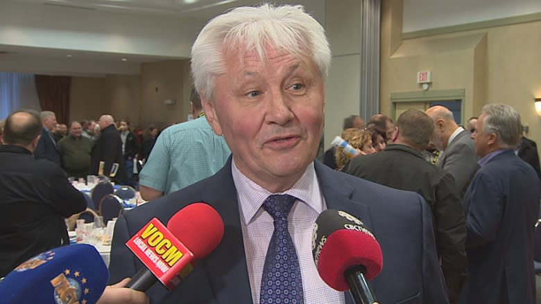 Government will review Supreme Court order on $250M Placentia Bay project: minister