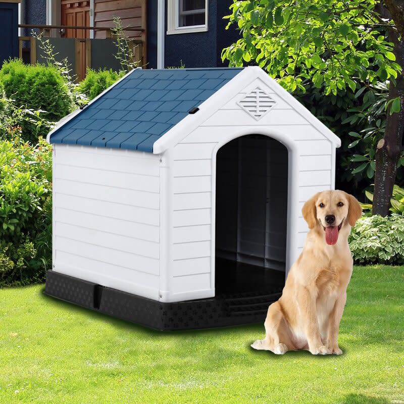 tucker murphy pet home