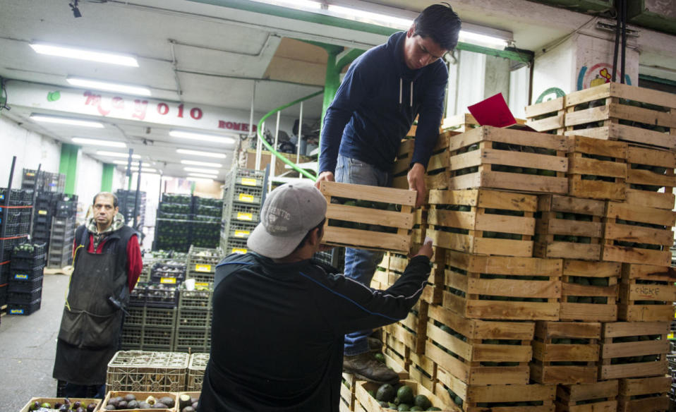 El 31 de julio, la policía federal en Morelia, la capital de Michoacán, detuvo a 13 personas y confiscó dos plantas de aguacate y dos vehículos que estaban siendo usados para convertir un huerto deforestado en un cultivo de estos frutos.