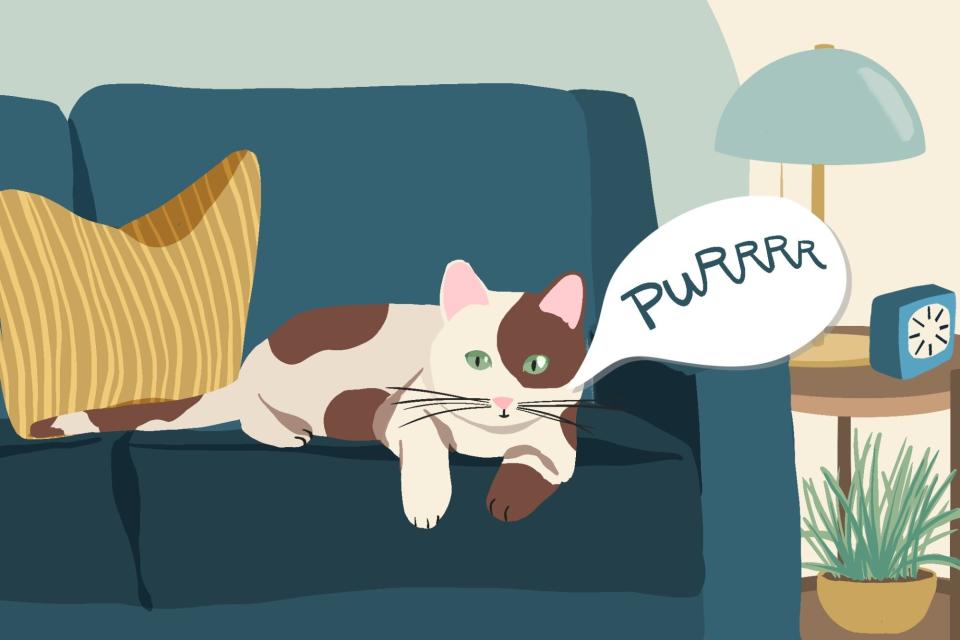 illustration of a cat laying on the couch purring; why do cats make noises?