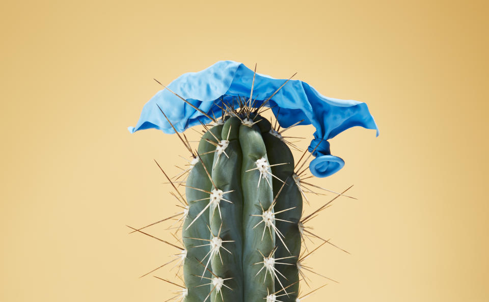 Burst balloon impaled on cactus