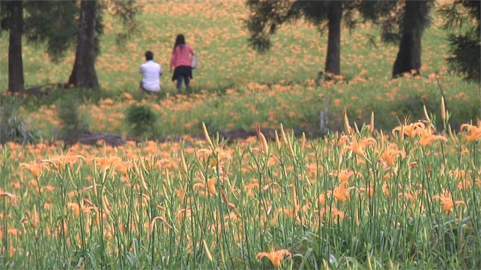 藝人安妮代言花東自行車漫旅　首創赤科山登山賽　吸引自行車好手挑戰