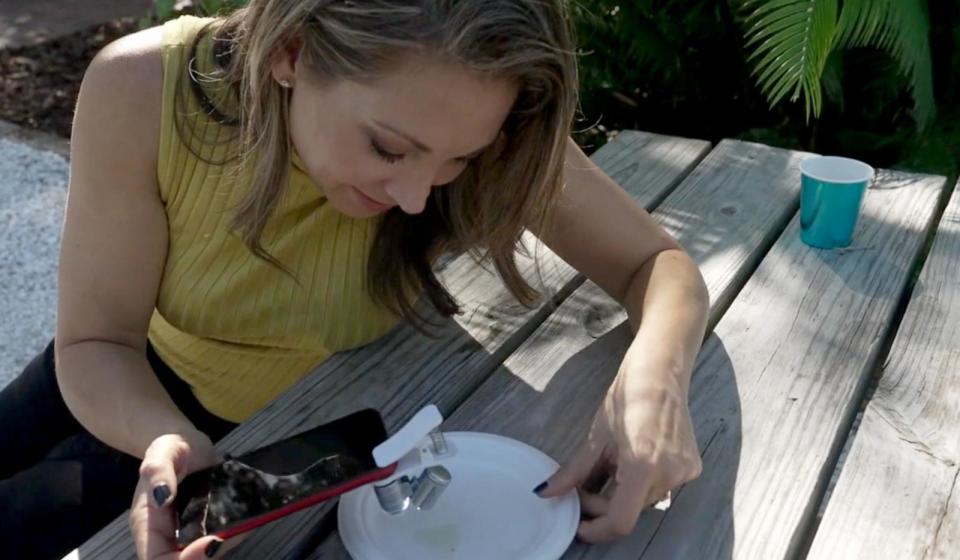 PHOTO: Researchers are relying on citizen science and artificial intelligence to track mosquitoes that could be carrying diseases. (ABC News)