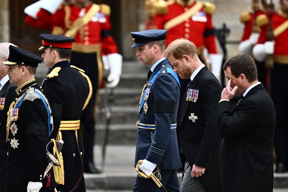 Prince Harry and Prince William walk in the procession behind the Queen's coffin