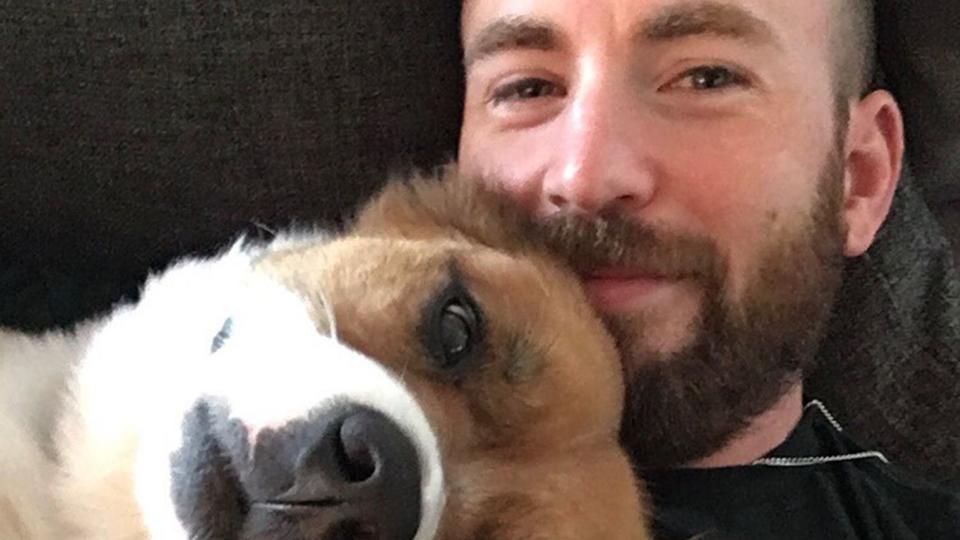 Chris Evans Says His Pet Dodger Is ‘a Cut Above the Average Dog’: ‘I'm Probably Biased’