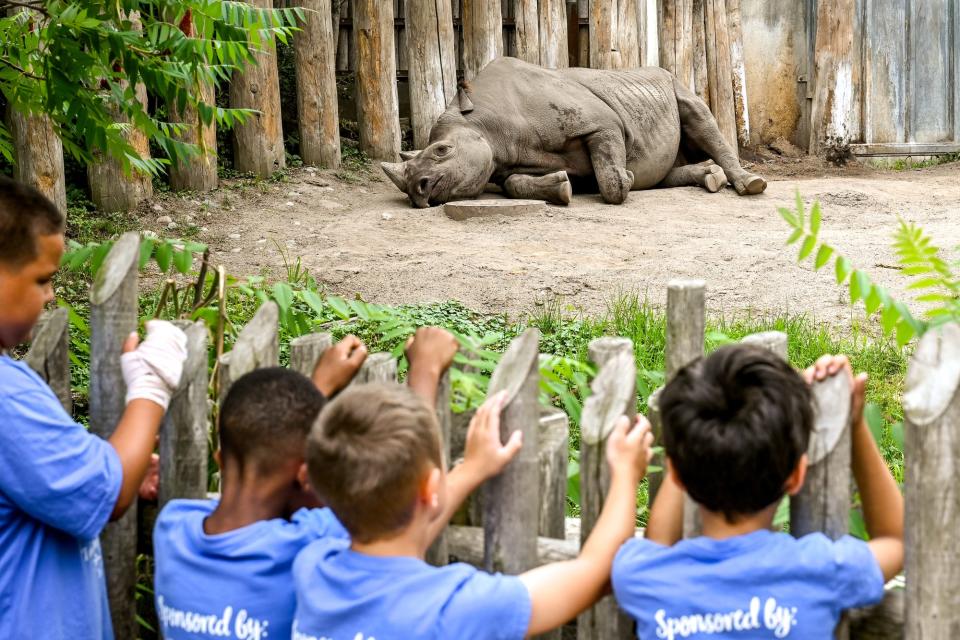 A group of summer camp children checks out a rhino on Friday, July 1, 2022, at the Potter Park Zoo in Lansing.