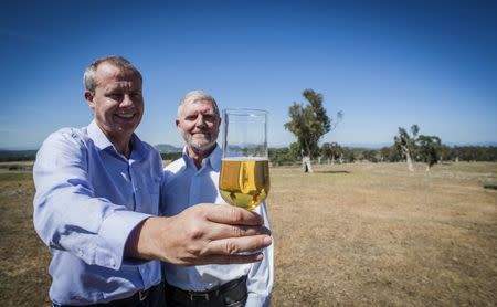 Researchers Crispin Howitt (L) and Phil Larkin from Australia's Commonwealth Scientific and Industrial Research Organisation (CSIRO) hold a glass of beer in Australia's capital, Canberra, March 3, 2016. Australian government scientists say they've developed the world's first ever variety of "gluten-free" barley after a successful plant breeding program. Picture taken March 3, 2016. REUTERS/CSIRO/Handout via Reuters