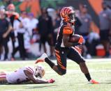 NFL: San Francisco 49ers at Cincinnati Bengals