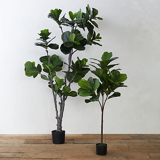 1) Faux Fiddle Leaf Fig Tree