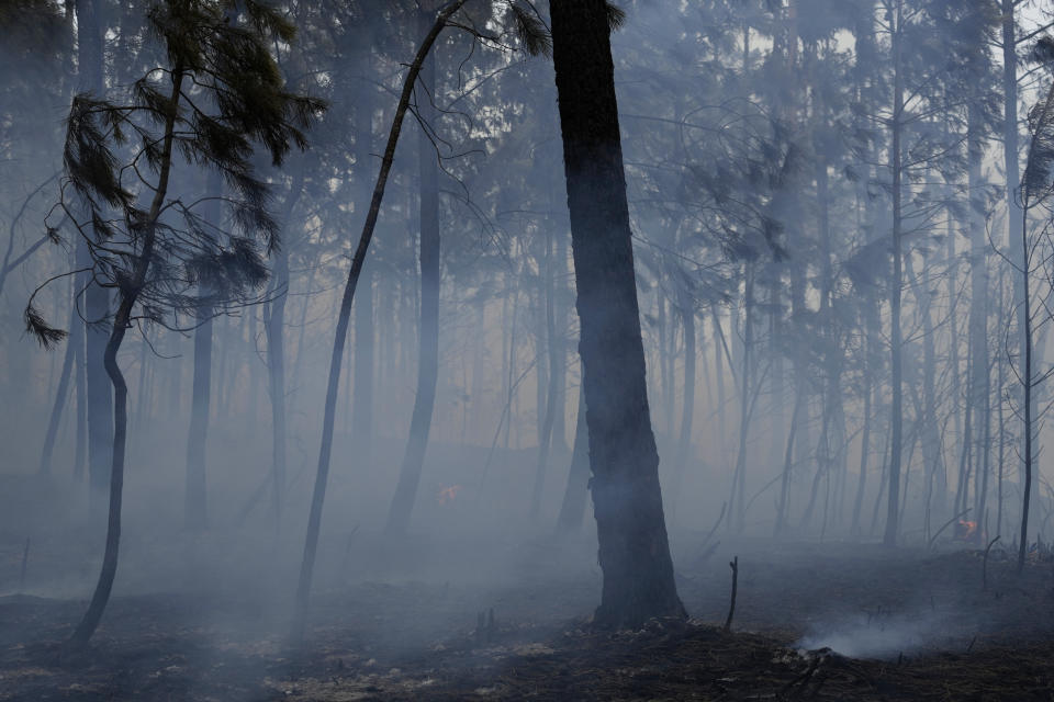 Smoke rises from the ground among burnt trees after a forest fire flared anew in the village of Rebolo, near Ansiao central Portugal, Thursday, July 14, 2022. Thousands of firefighters in Portugal have been battling fires all over the country that forced the evacuation of dozens of people from their homes. (AP Photo/Armando Franca)