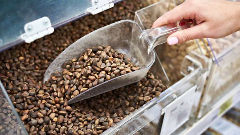 Hand scooping unshelled pine nuts