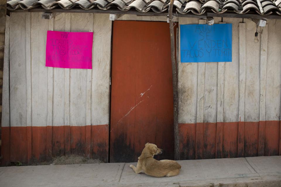 In this Feb. 11, 2014 photo, a dog sits on a sidewalk in front of a small restaurant in Cochoapa El Grande, Mexico. The farming town of 2,600 people is located high in the pine-covered mountains of Guerrero state in southern Mexico. More than a year after President Enrique Pena Nieto launched what he called a national crusade against hunger, the government says 3 million Mexicans are eating better. However, independent experts say that number is questionable and the crusade against hunger appears to be doing far less than advertised.(AP Photo/Dario Lopez-Mills)