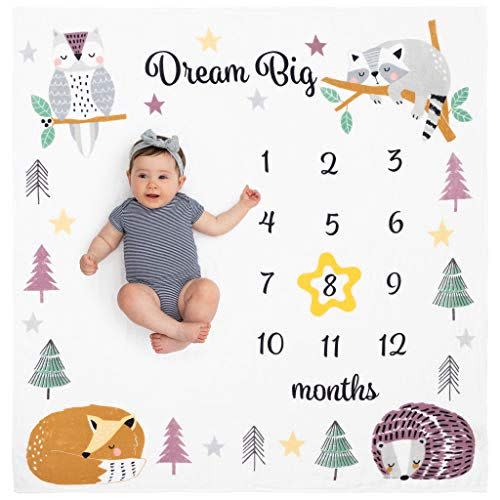 20) Baby Monthly Milestone Blanket