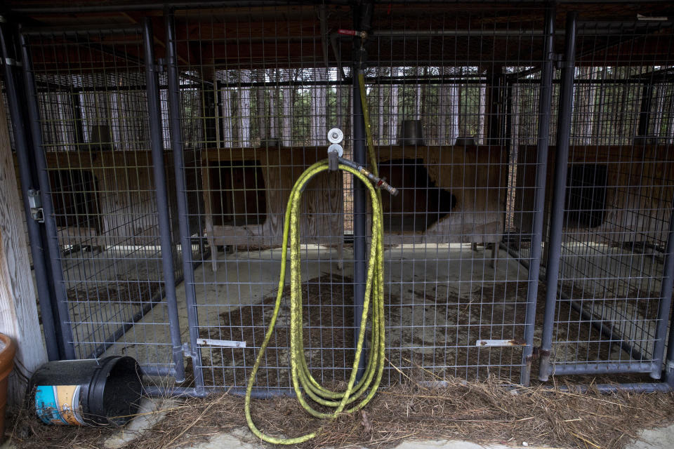 A hose in the dog kennels at the Murdaugh family property, March 1, 2023