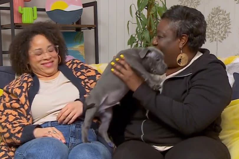 Gogglebox star Daniella revealed her brand new puppy on Friday's show