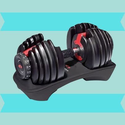 Bowflex SelectTech 552 adjustable dumbbells