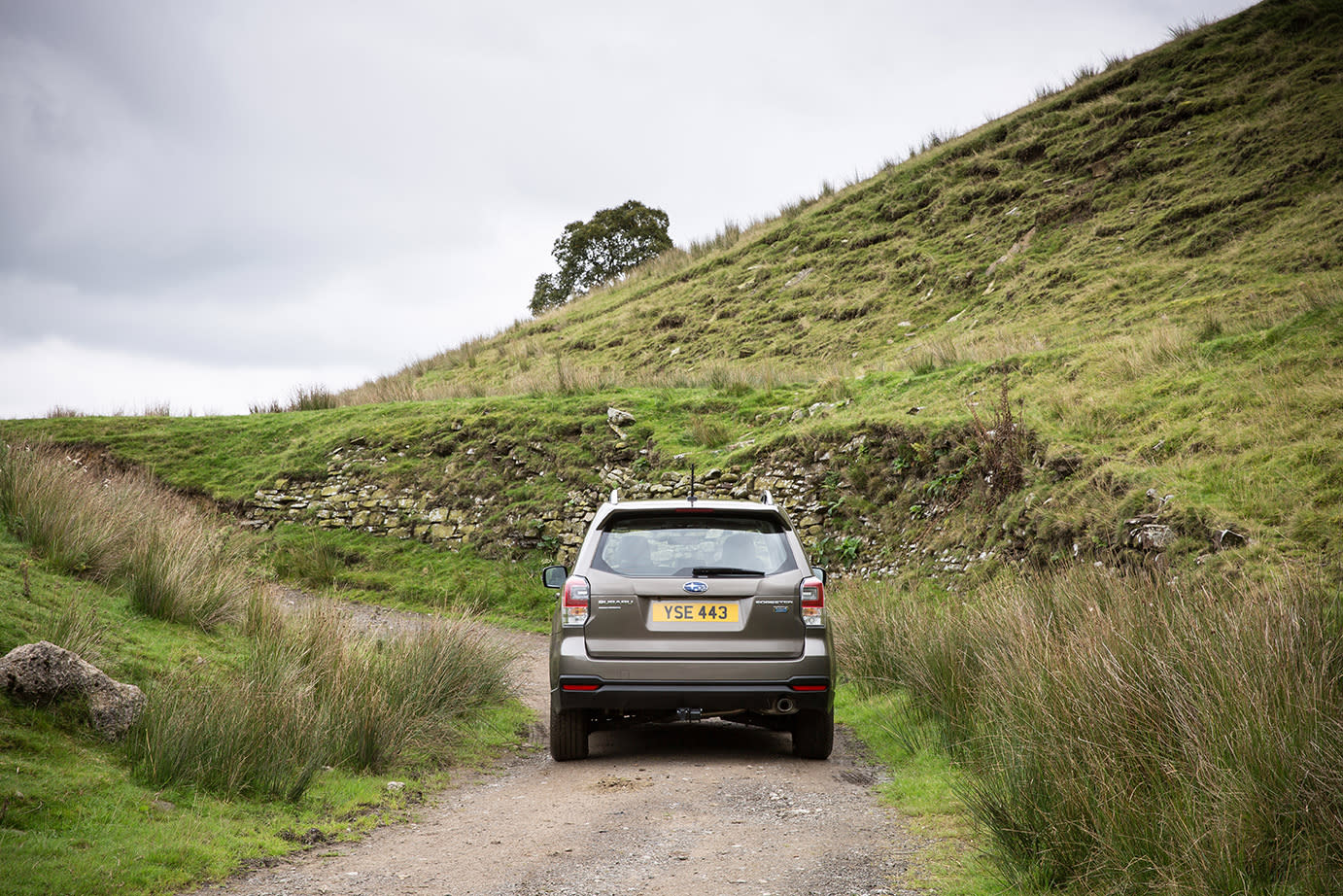 Country lanes are where the Outback thrives