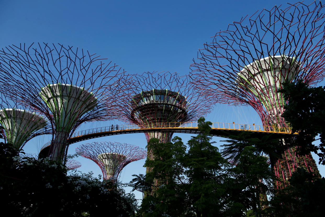 Supertrees at Gardens by the Bay in Singapore in 2014. (File photo: Reuters/Edgar Su)