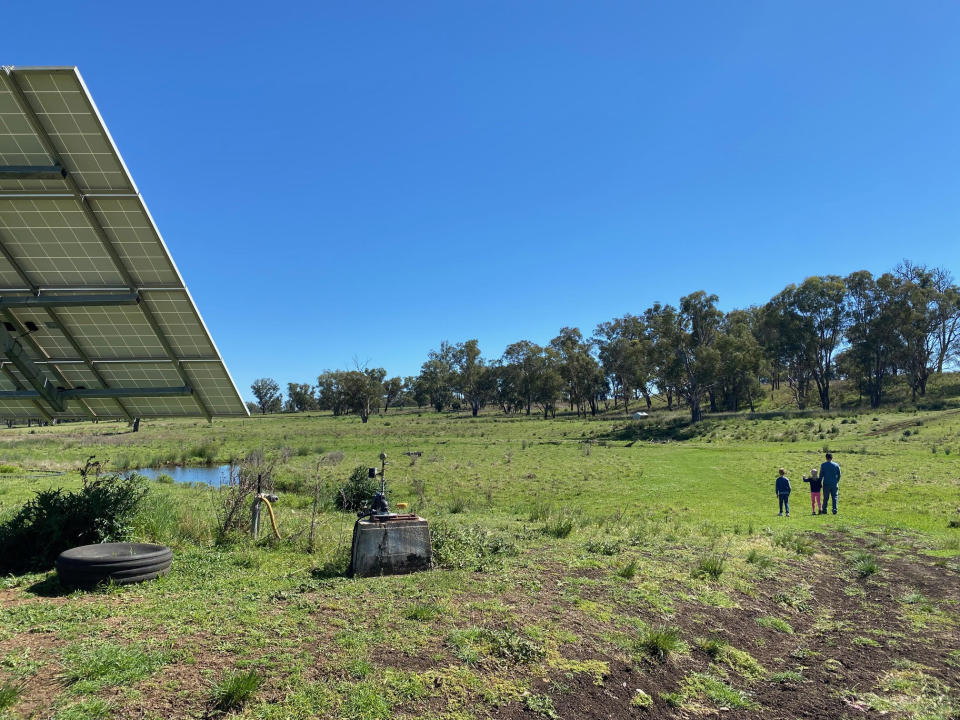 Pictured is the same area in 2020, with grass stretching across the property.