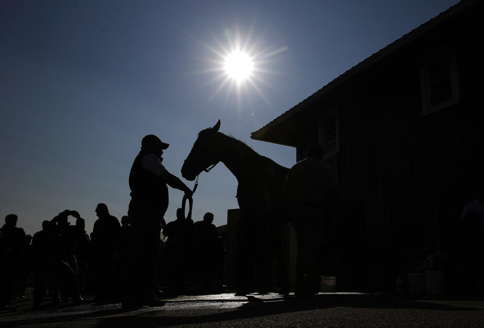 <p>Kentucky Derby winner Nyquist is washed at Pimlico Race Course in Baltimore, May 20, 2016. The Preakness Stakes horse race is scheduled to take place May 21. (Patrick Semansky/AP) </p>