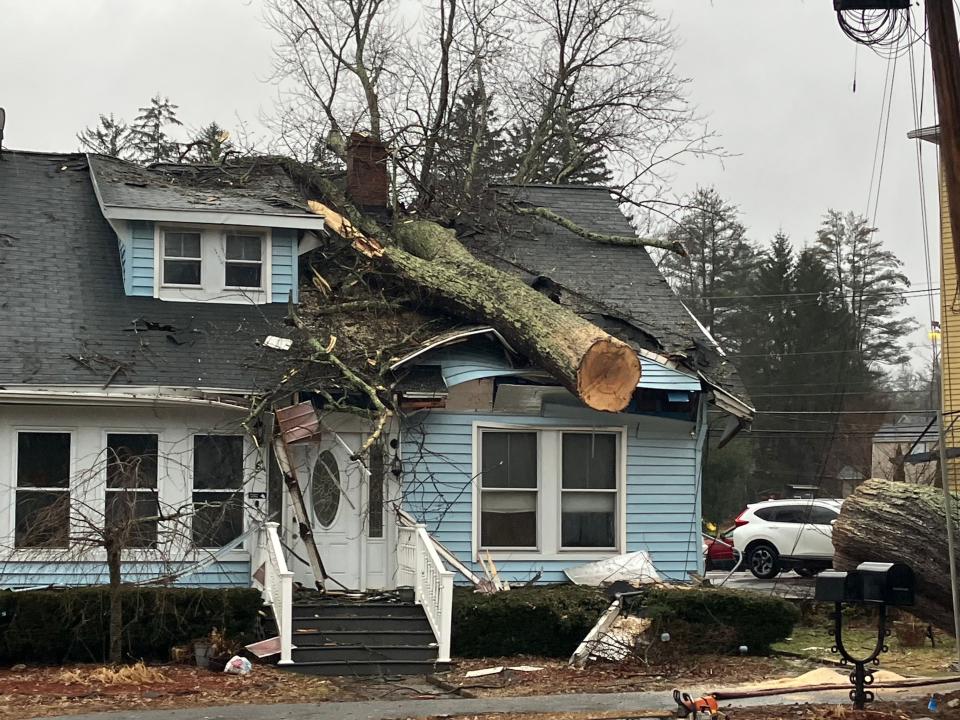 Salem, NH: Tree on Home