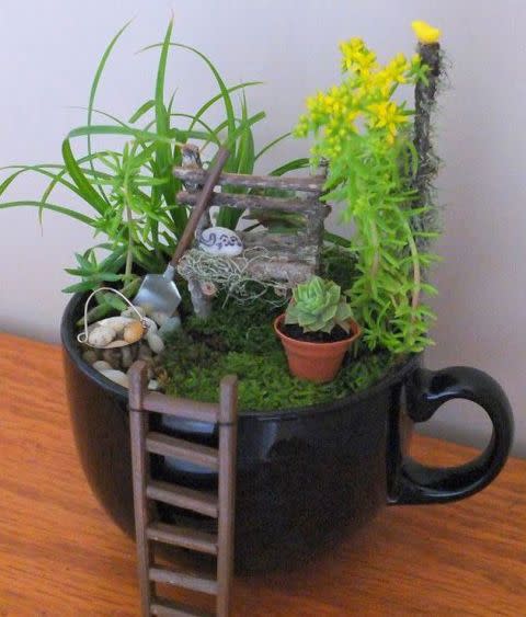 Teacup Fairy Garden With Ladder