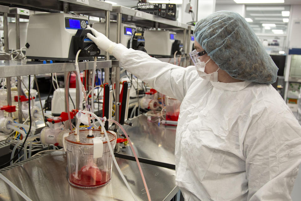 CORRECTS COMPANY NAME TO MIROMATRIX NOT MICROMATRIX - A technician replaces media in a bioreactors containing pig kidneys in a Miromatrix laboratory on Tuesday, Dec. 8, 2022, in Eden Prairie, Minn. (AP Photo/Andy Clayton-King)